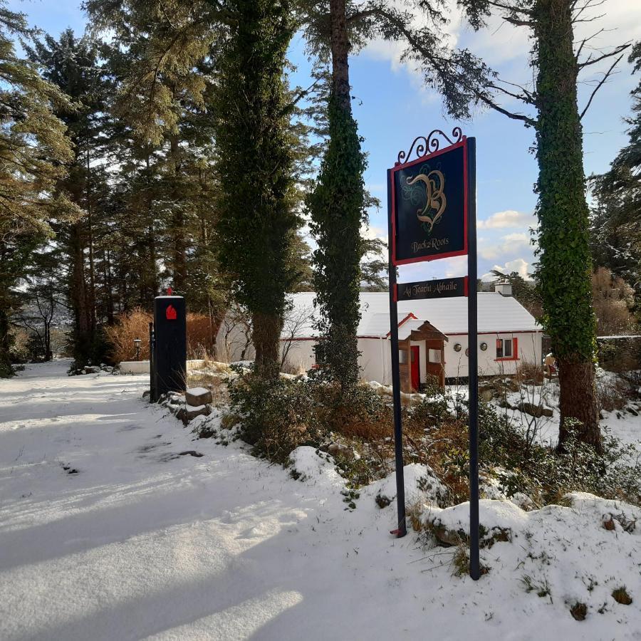 Back2Roots - Beautifully Restored Cottage, Doochary Zewnętrze zdjęcie